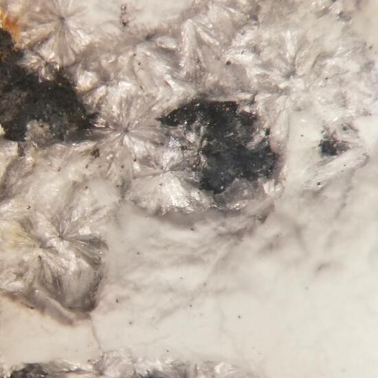 Montgomeryite