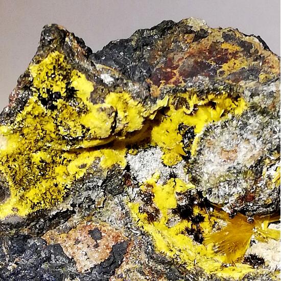 Wyartite Urancalcarite Ianthinite