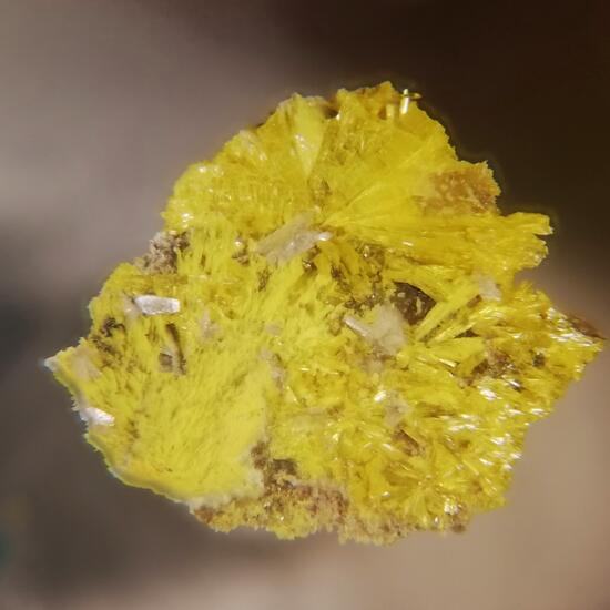 Shabaite-(Nd) & Kamotoite-(Y)