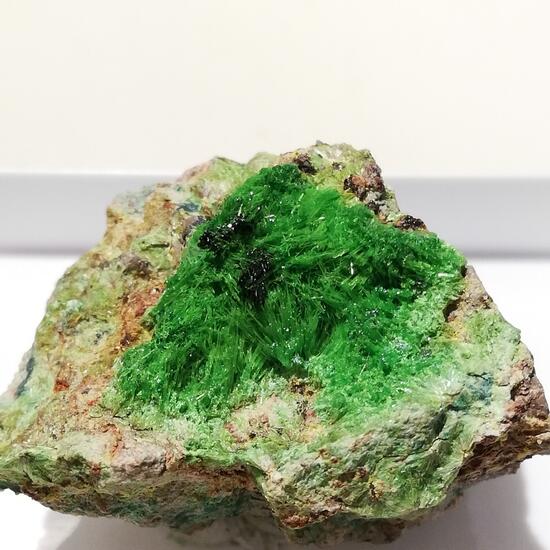 Cuprosklodowskite & Vandenbrandeite