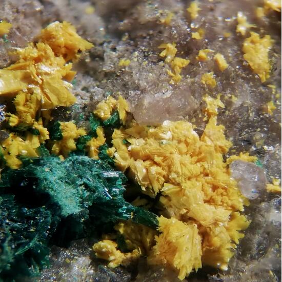 Tyuyamunite & Malachite