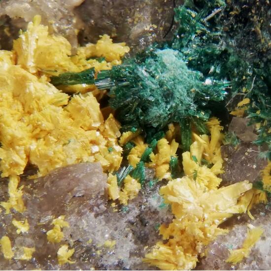 Tyuyamunite & Malachite