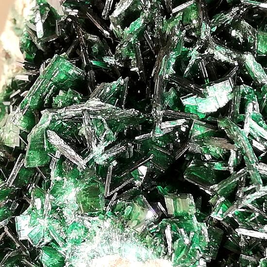 Torbernite