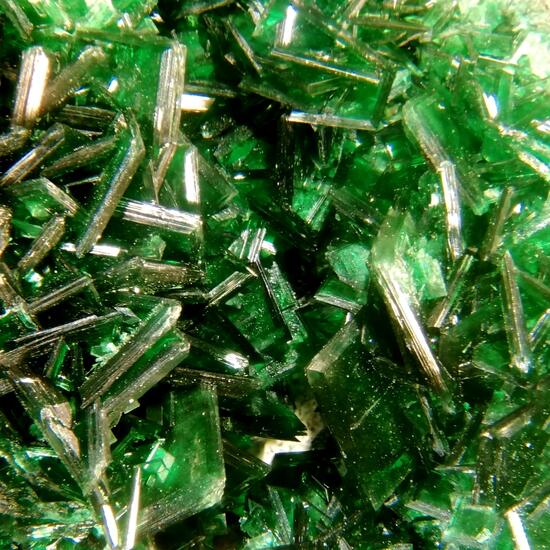 Torbernite