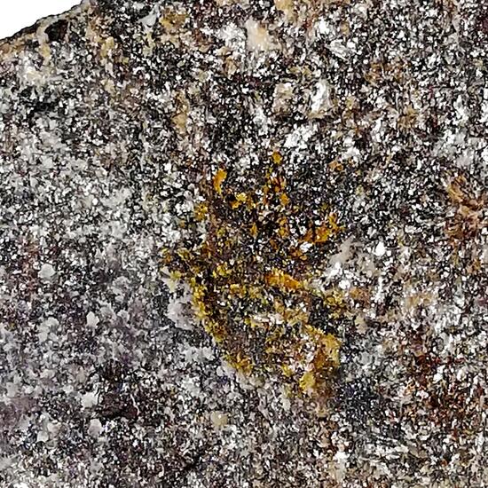 Sarkinite
