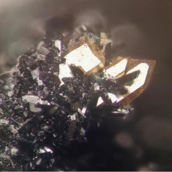 Vandenbrandeite & Baryte