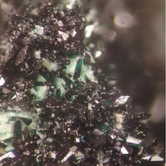 Vandenbrandeite & Baryte