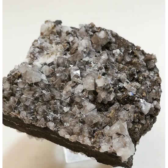 Wardite