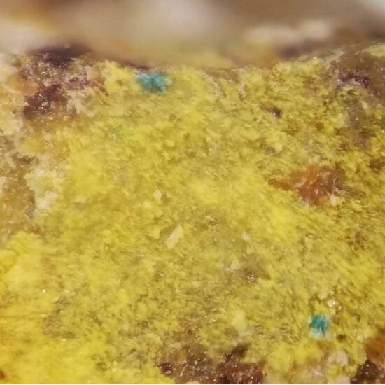 Astrocyanite-(Ce) On Kamotoite-(Y)