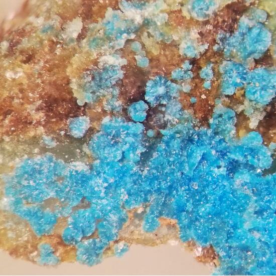 Decrespignyite-(Y)