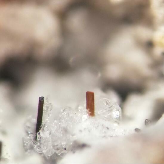Dingdaohengite-(Ce) & Fluoro-edenite