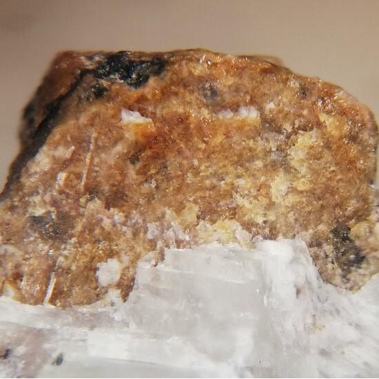 Rinkite-(Ce)