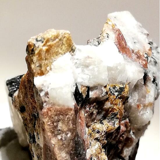 Rinkite-(Ce)