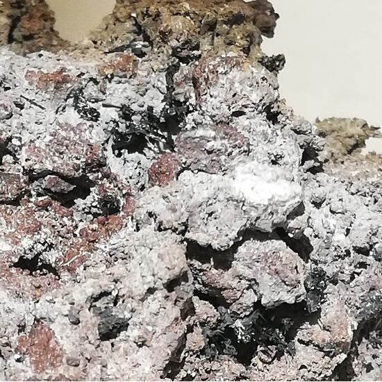Tenorite