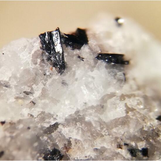 Pinakiolite