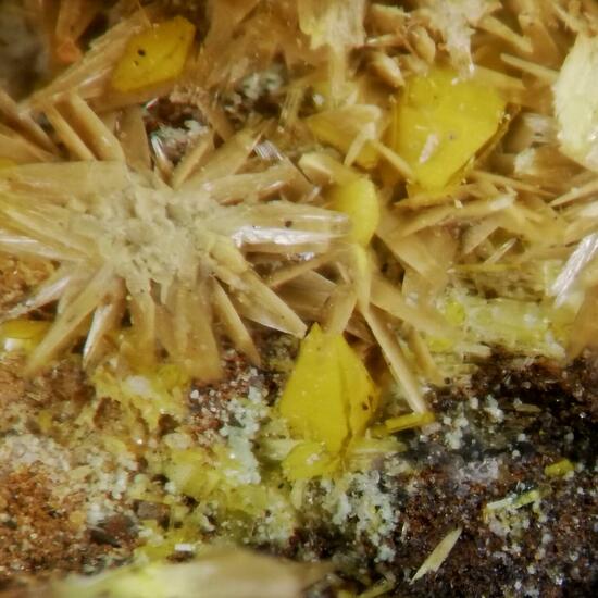 Schoepite On Rutherfordine & Soddyite