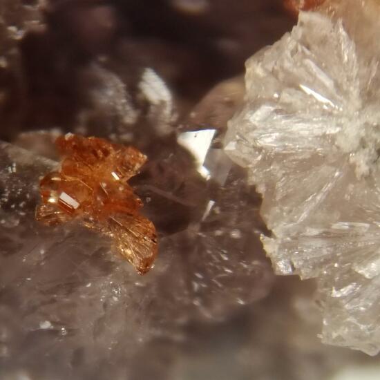 Römerite On Krausite