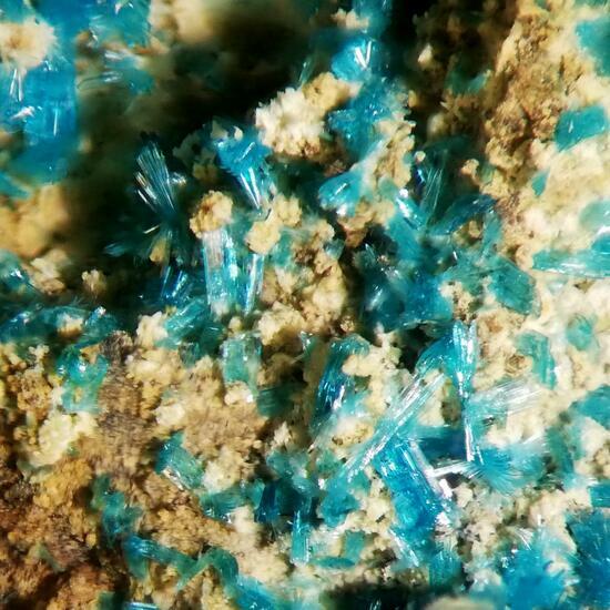 Serpierite