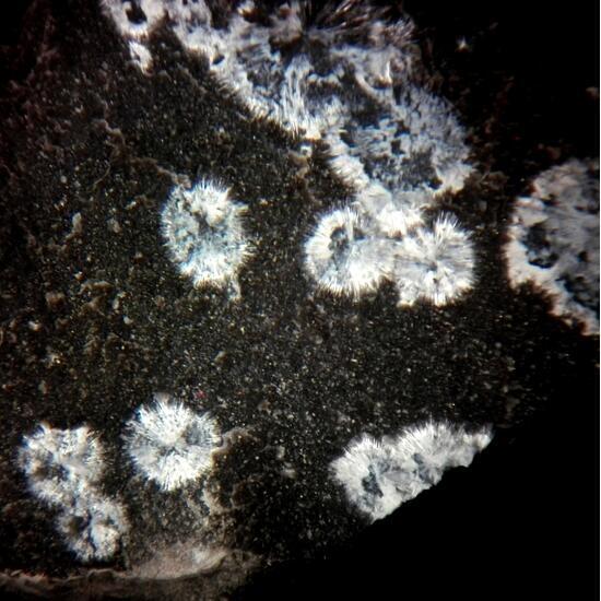 Strontiodresserite