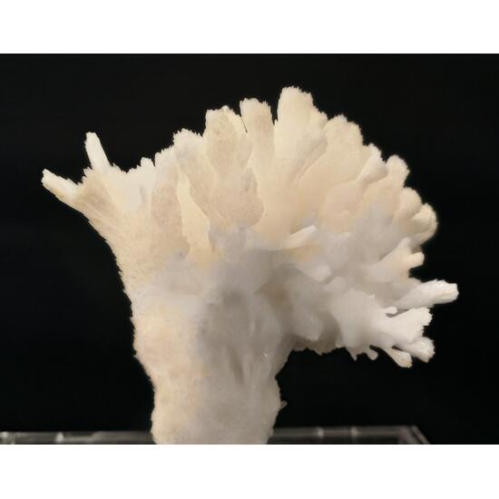 Aragonite