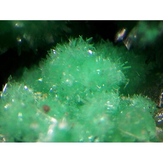 Annabergite
