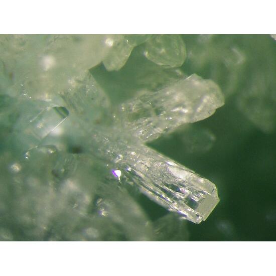Senegalite