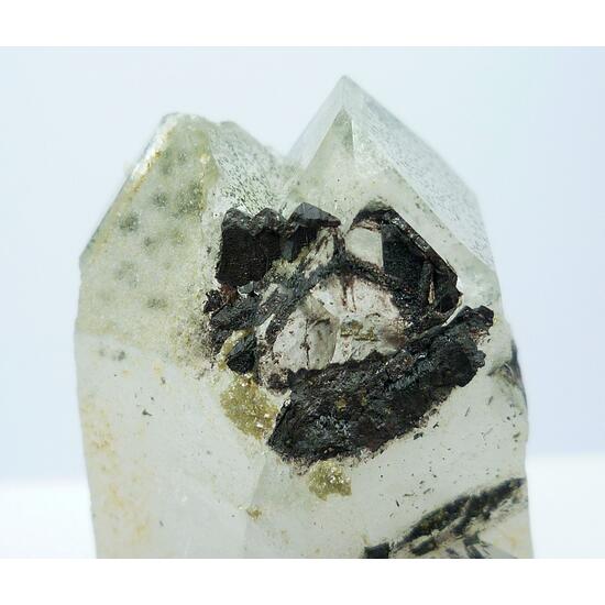 Chlorite In Quartz With Wolframite