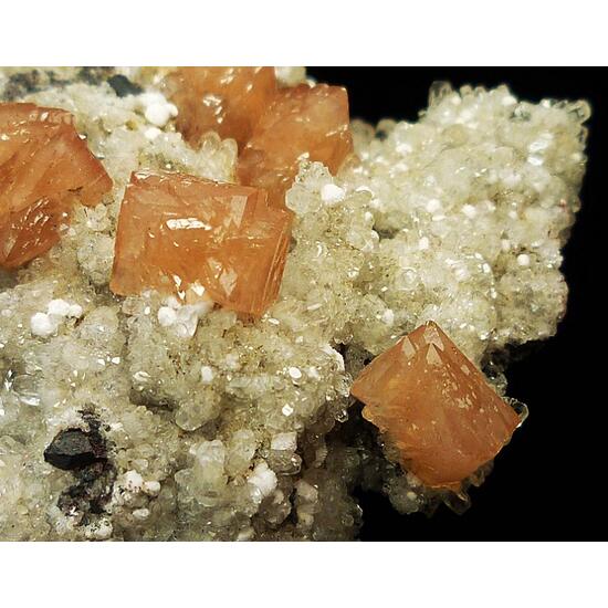 Olmiite Calcite & Xonotlite