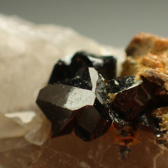 Cassiterite With Zinnwaldite On Quartz