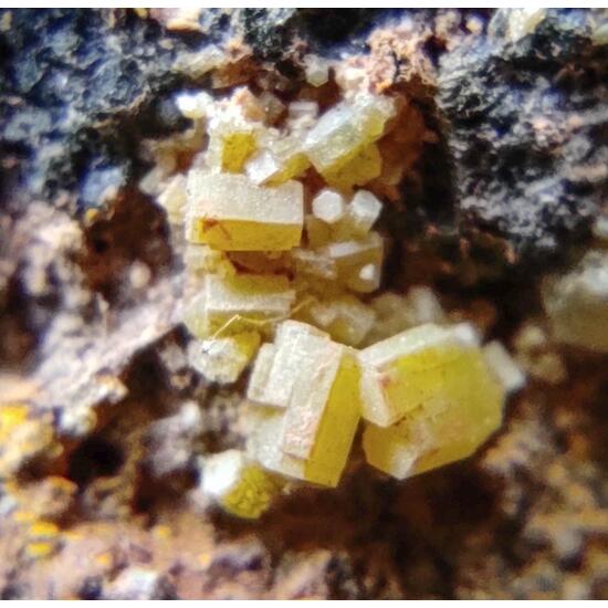 Pyromorphite