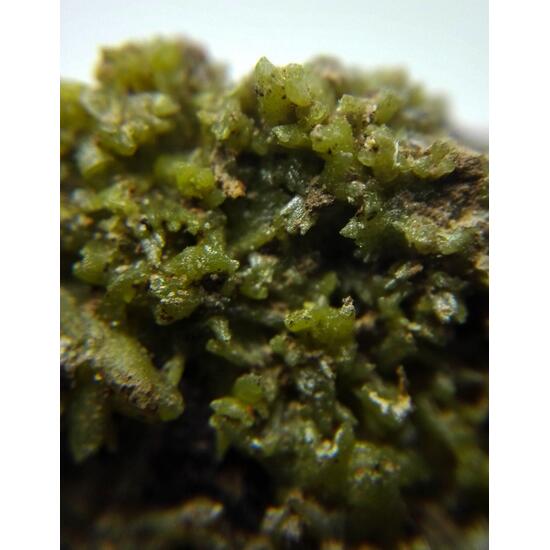 Pyromorphite