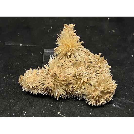 Aragonite