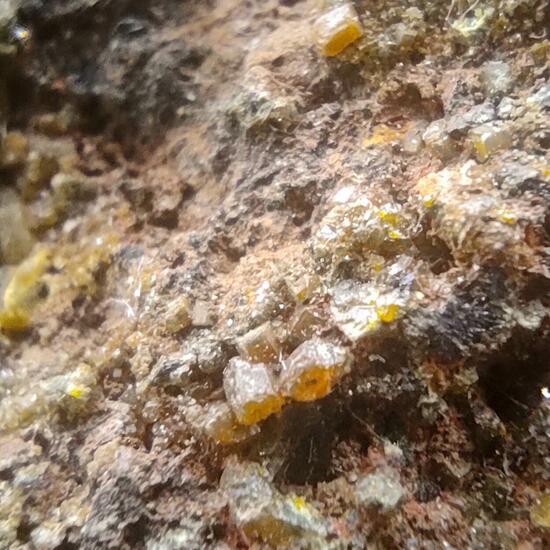 Campylite & Mimetite