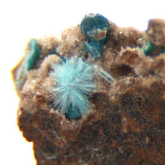 Aurichalcite & Pseudomalachite